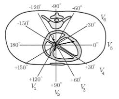 Resultado de imagen para vectocardiograma